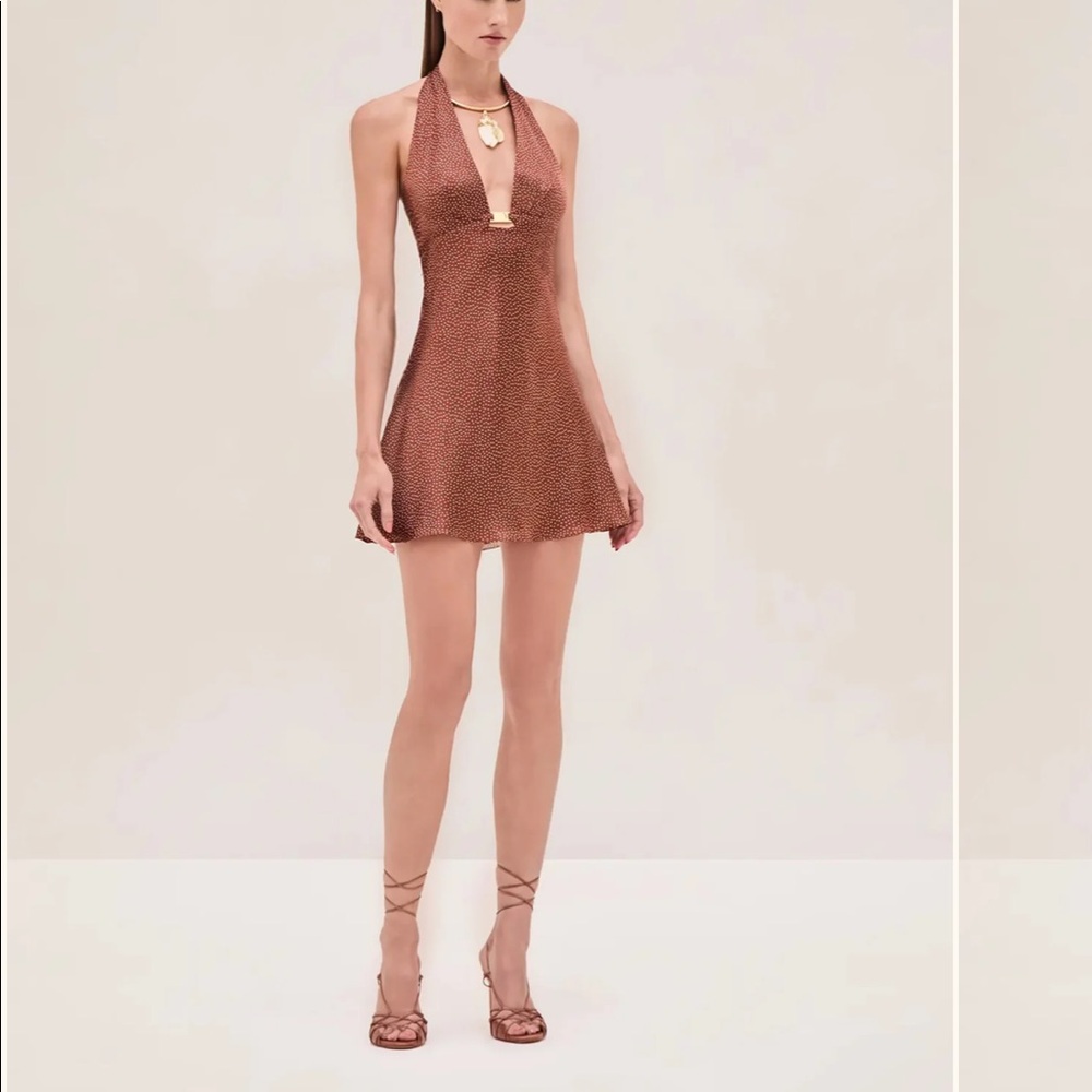 Alexis Zara Dress size xxs